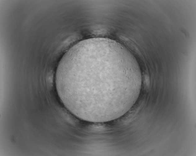 X0000114430668200911061644