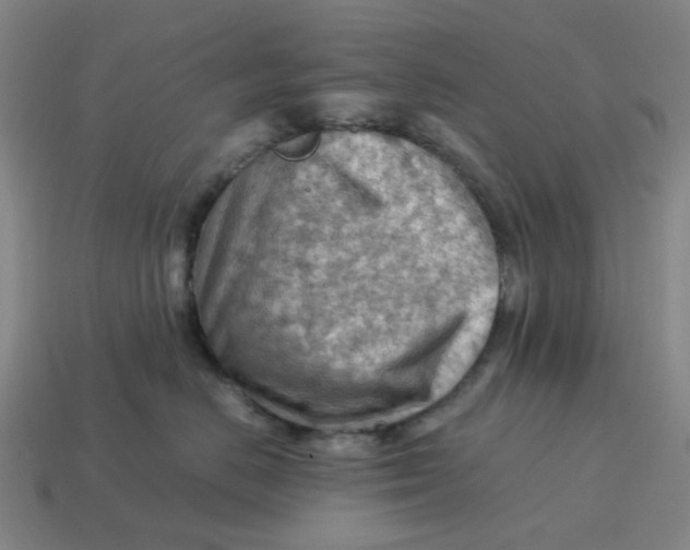 X0000114430670200911061644