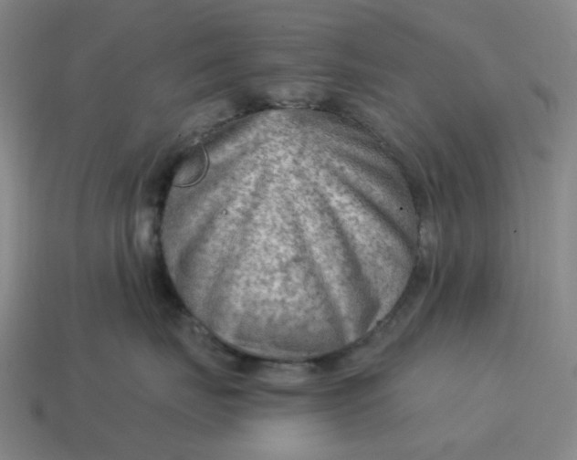X0000114430671200911061644