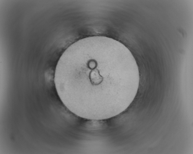 X0000114430672200911061644