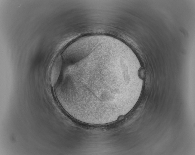 X0000114430673200911061643