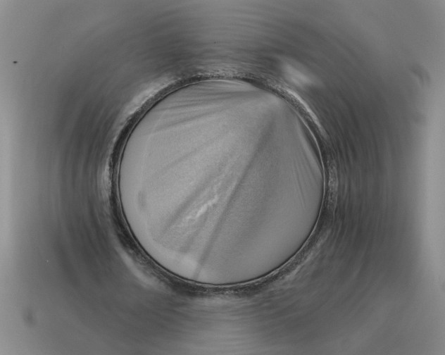 X0000114430674200911061643
