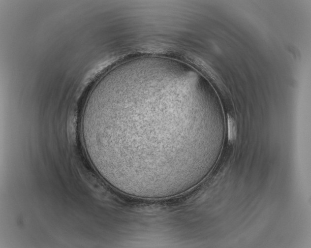 X0000114430675200911061643