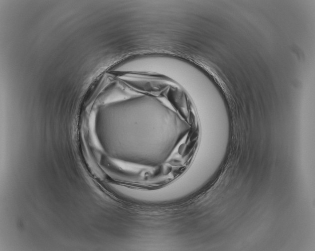 X0000114430677200911061643
