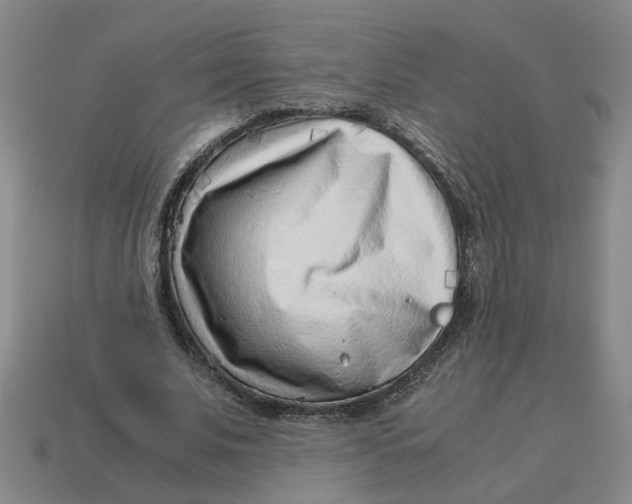 X0000114430679200911061643