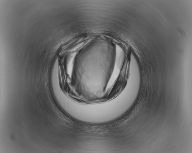 X0000114430681200911061643
