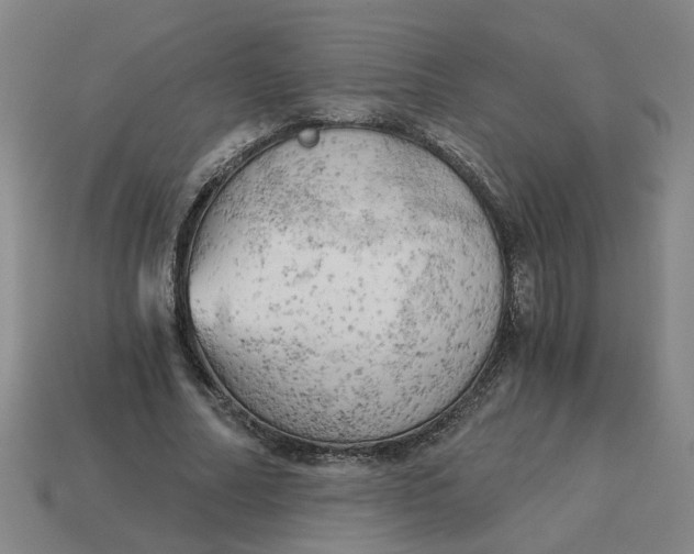 X0000114430682200911061643