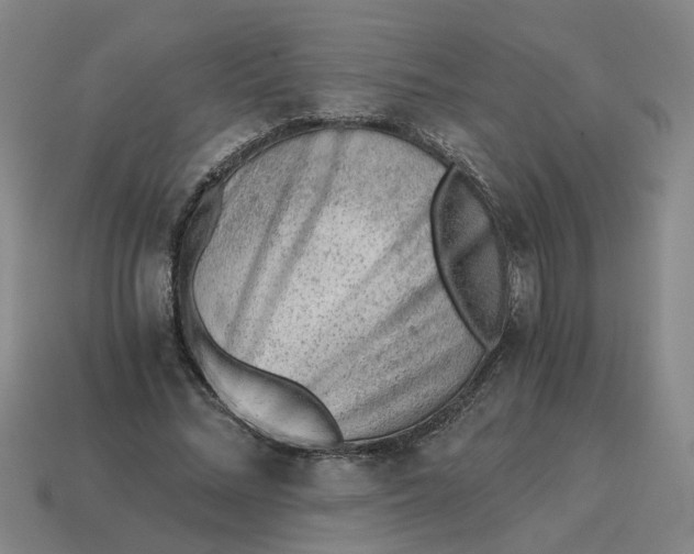 X0000114430684200911061643