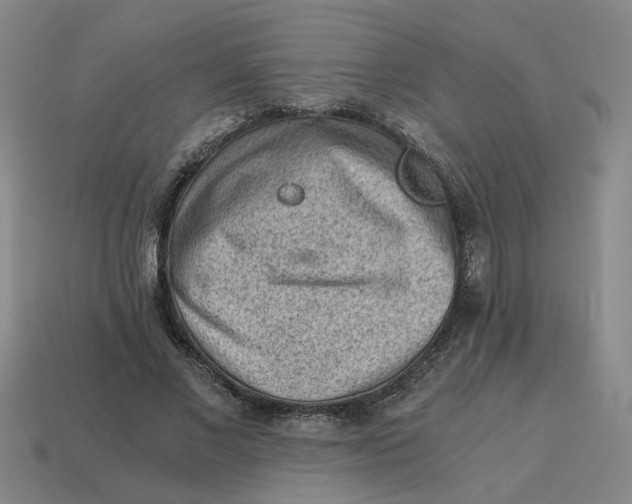 X0000114430685200911061643