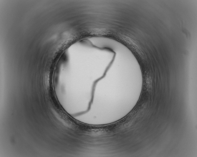 X0000114430686200911061643