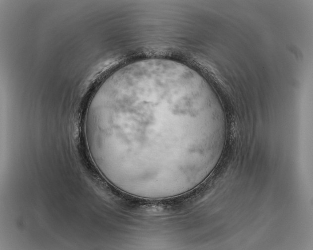 X0000114430687200911061643