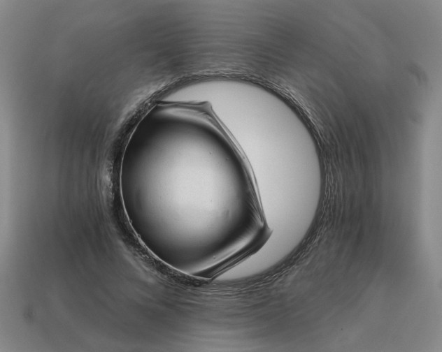 X0000114430688200911061643