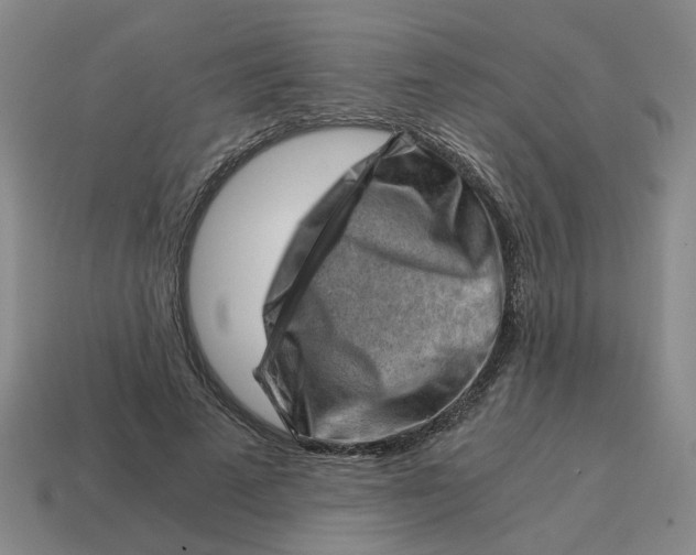 X0000114430689200911061643