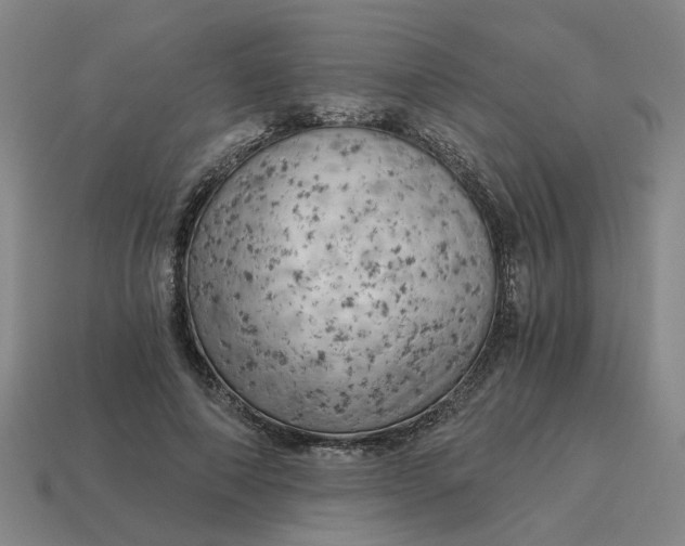 X0000114430690200911061643