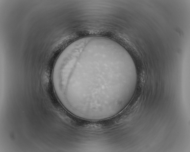 X0000114430691200911061643