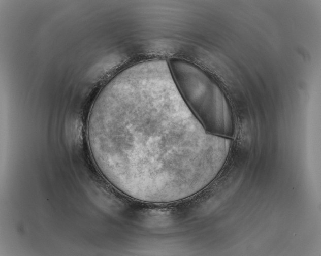 X0000114430692200911061643