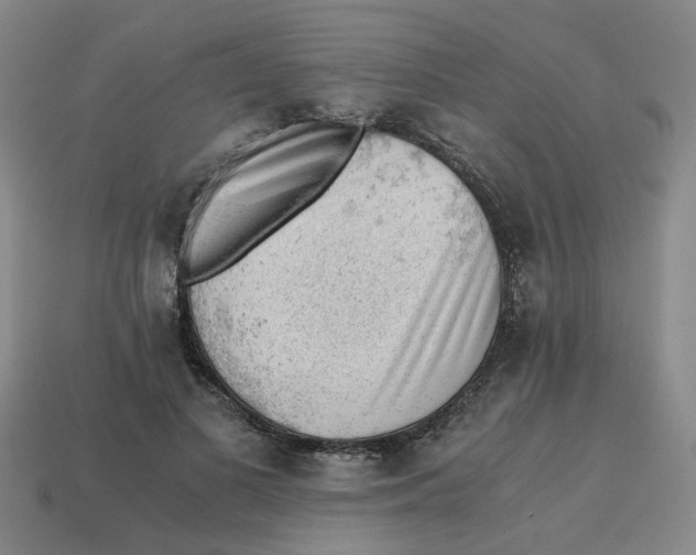 X0000114430693200911061643