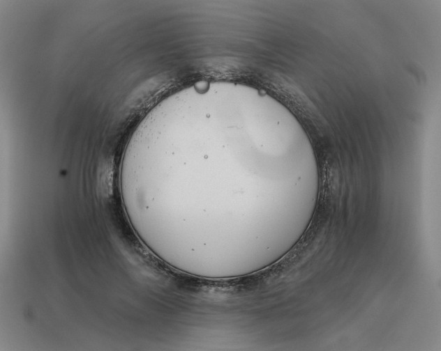 X0000114430694200911061643