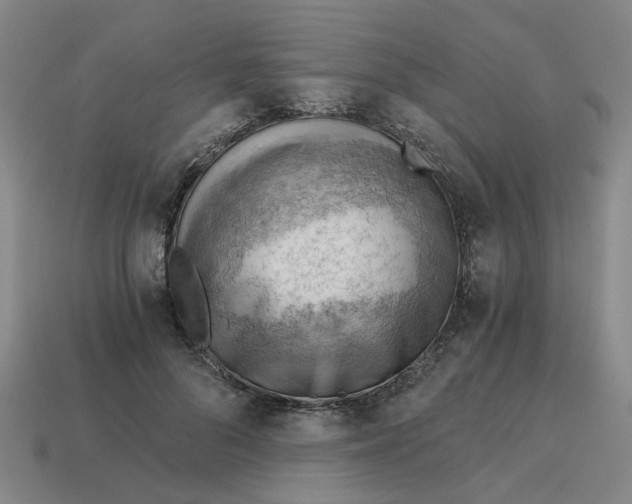 X0000114430696200911061643