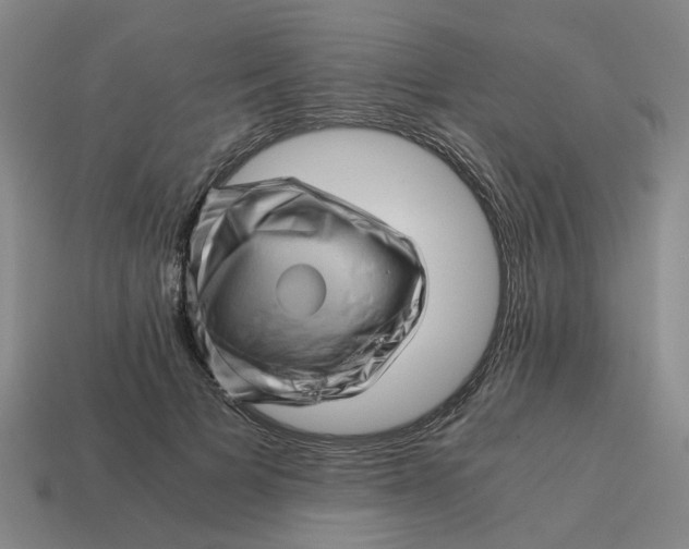 X0000114430697200911061643