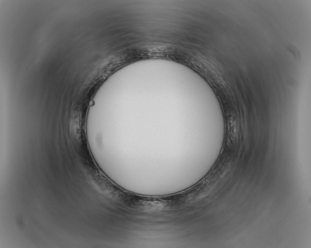 X0000114430698200911061643