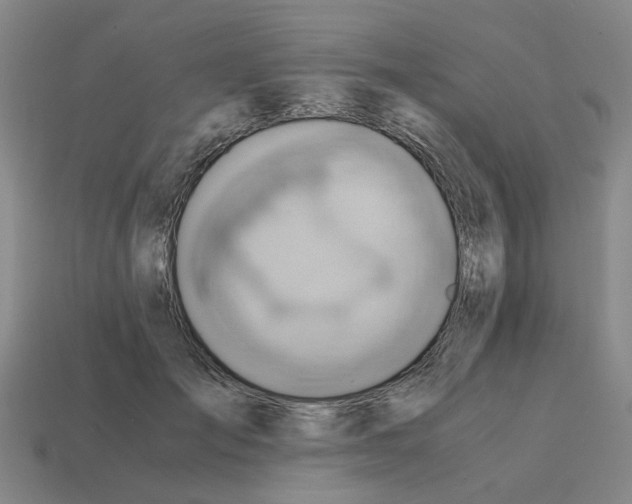 X0000114430701200911061643