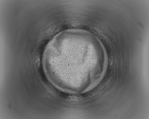 X0000114430703200911061643