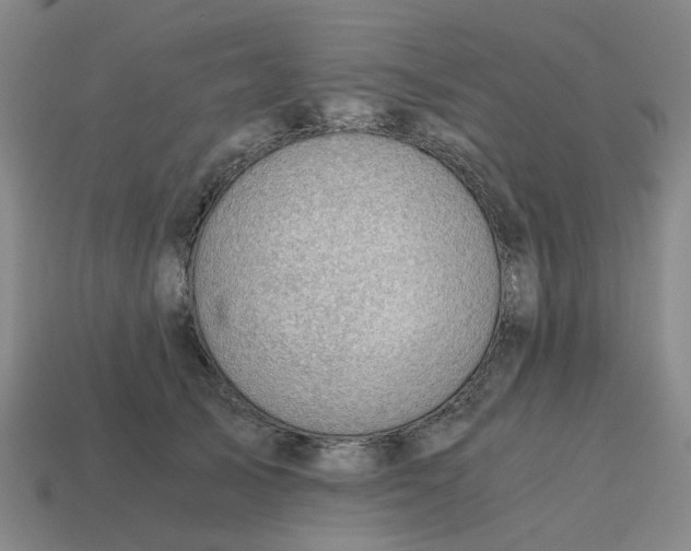 X0000114430705200911061643