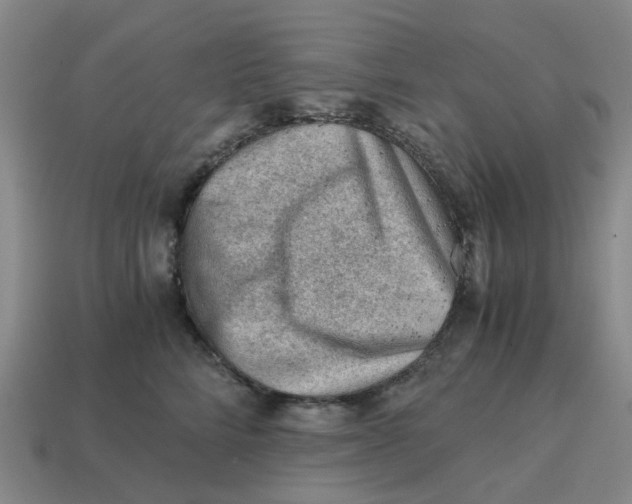 X0000114430712200911061643