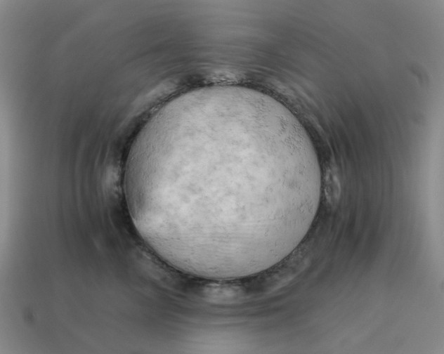 X0000114430714200911061643