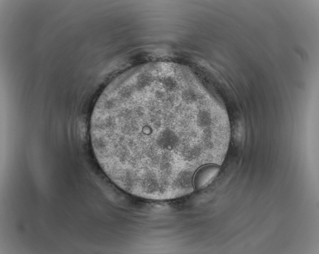 X0000114430715200911061643
