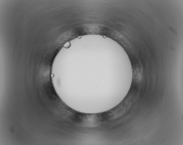 X0000114430717200911061643