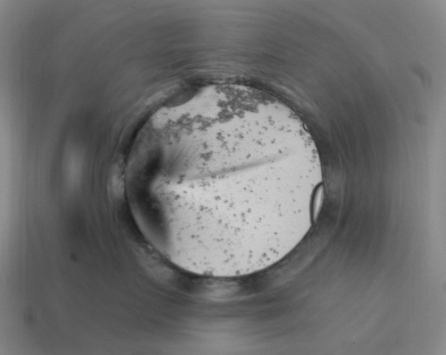 X0000114430719200911061643