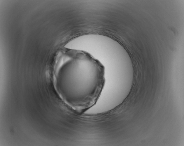 X0000114430720200911061643