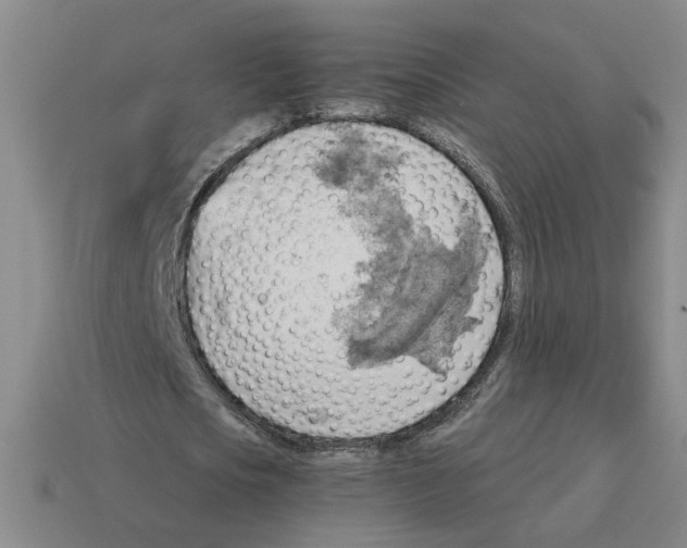 X0000114430721200911061642
