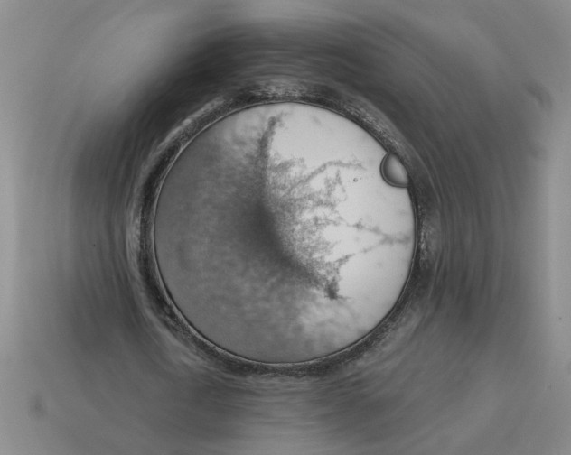 X0000114430722200911061642