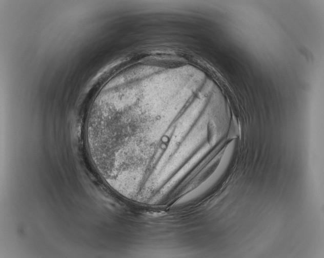X0000114430723200911061642