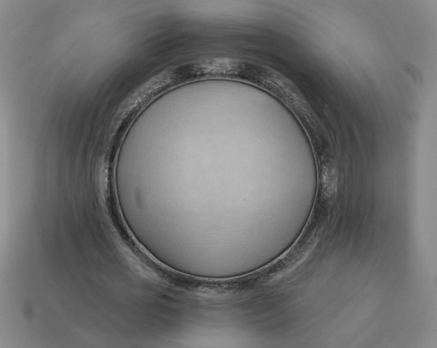 X0000114430725200911061642