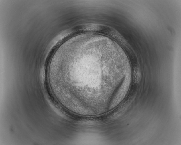 X0000114430726200911061642