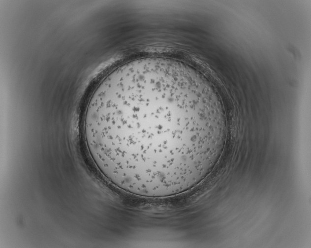 X0000114430727200911061642