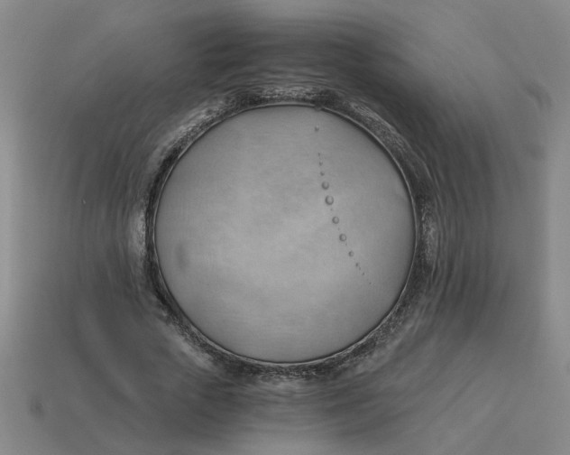 X0000114430729200911061642