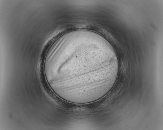 X0000114430730200911061642