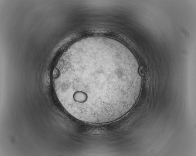 X0000114430731200911061642