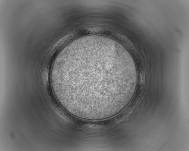 X0000114430733200911061642