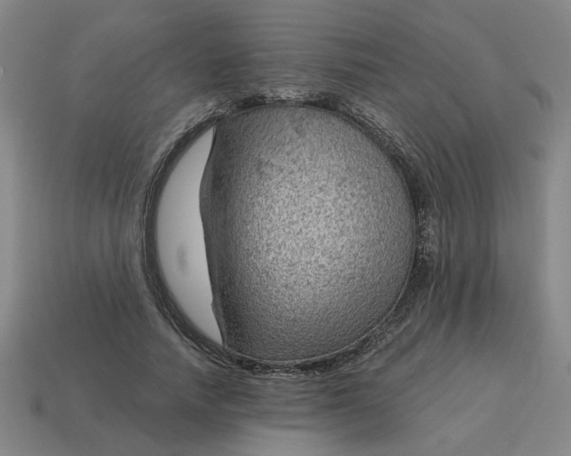 X0000114430738200911061642