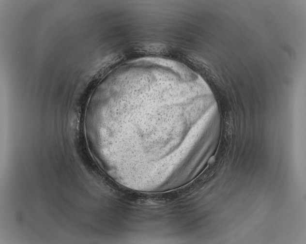 X0000114430739200911061642