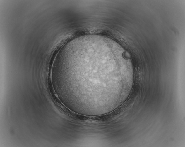 X0000114430742200911061643