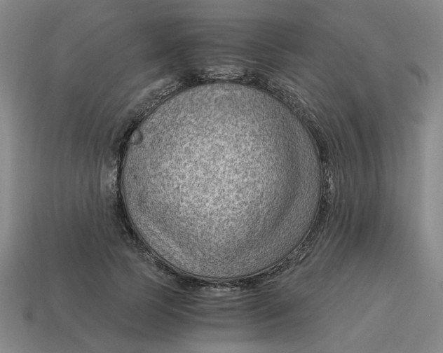 X0000114430745200911061643