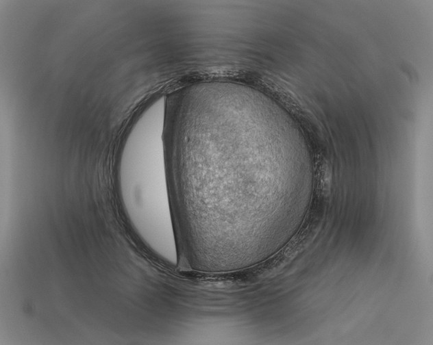 X0000114430746200911061643
