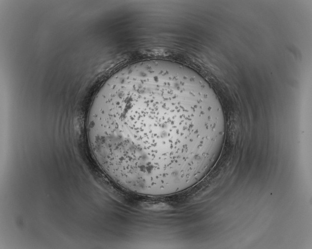 X0000114430747200911061643